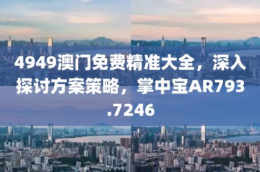 4949澳门免费精准大全，深入探讨方案策略，掌中宝AR793.7246