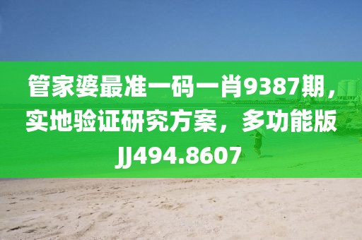 管家婆最准一码一肖9387期，实地验证研究方案，多功能版JJ494.8607
