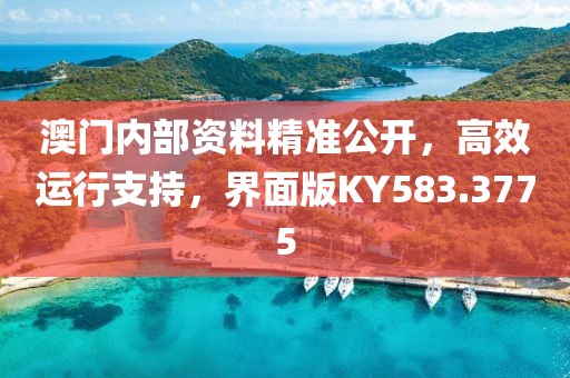澳门内部资料精准公开，高效运行支持，界面版KY583.3775