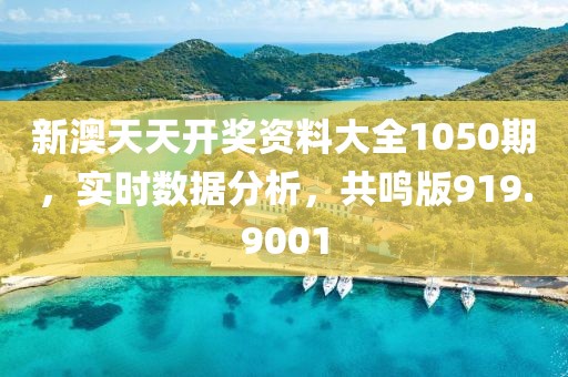 新澳天天开奖资料大全1050期，实时数据分析，共鸣版919.9001