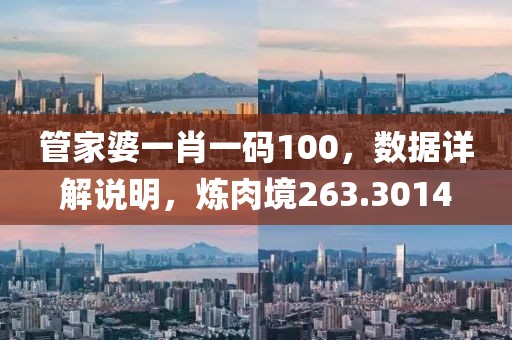 管家婆一肖一码100，数据详解说明，炼肉境263.3014