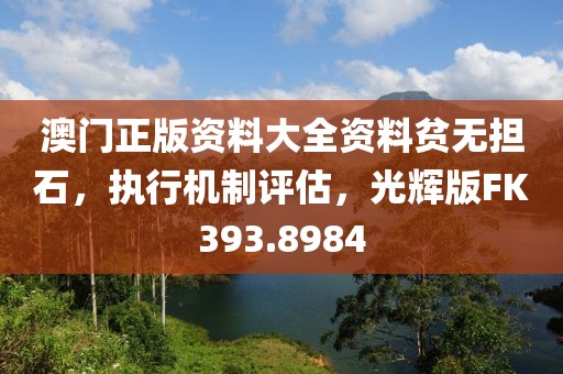澳门正版资料大全资料贫无担石，执行机制评估，光辉版FK393.8984