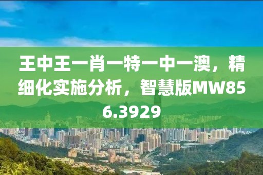 王中王一肖一特一中一澳，精细化实施分析，智慧版MW856.3929