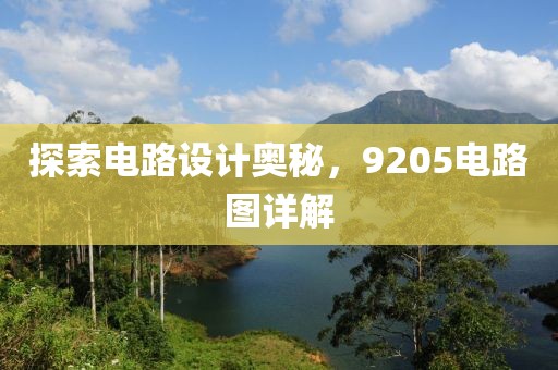 探索电路设计奥秘，9205电路图详解
