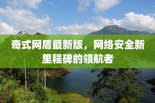 奇式网盾最新版，网络安全新里程碑的领航者