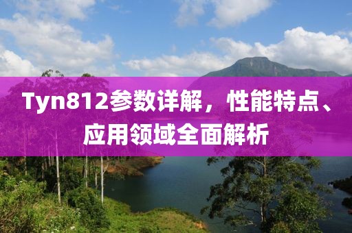 Tyn812参数详解，性能特点、应用领域全面解析