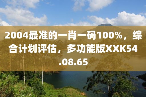 2004最准的一肖一码100%，综合计划评估，多功能版XXK54.08.65