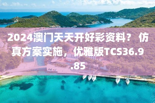 2024澳门天天开好彩资料？ 仿真方案实施，优雅版TCS36.9.85