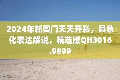 2024年新奥门天天开彩，具象化表达解说，精选版QH3016.9899