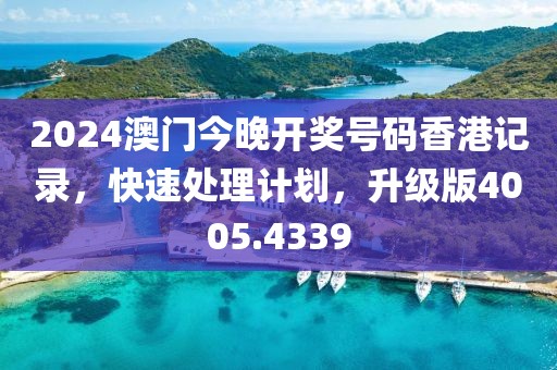 2024澳门今晚开奖号码香港记录，快速处理计划，升级版4005.4339
