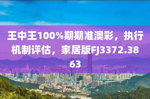 王中王100%期期准澳彩，执行机制评估，家居版FJ3372.3863