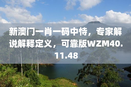 新澳门一肖一码中恃，专家解说解释定义，可靠版WZM40.11.48