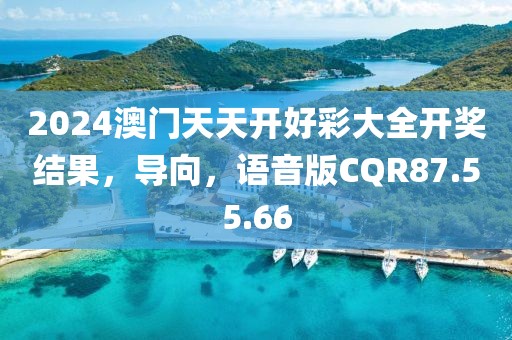 2024澳门天天开好彩大全开奖结果，导向，语音版CQR87.55.66