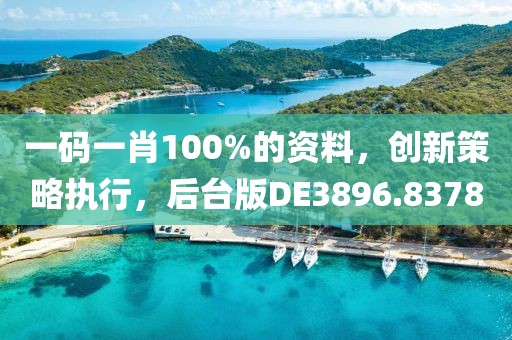 一码一肖100%的资料，创新策略执行，后台版DE3896.8378