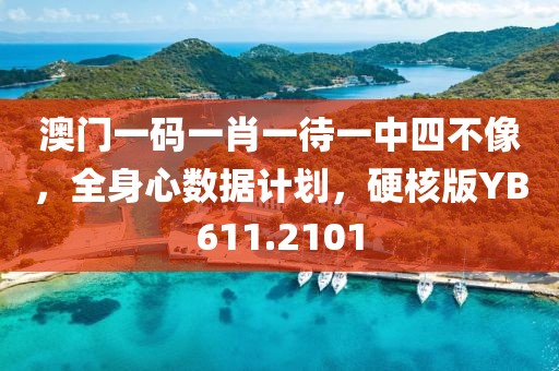 澳门一码一肖一待一中四不像，全身心数据计划，硬核版YB611.2101