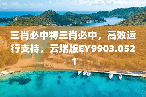三肖必中特三肖必中，高效运行支持，云端版EY9903.0521
