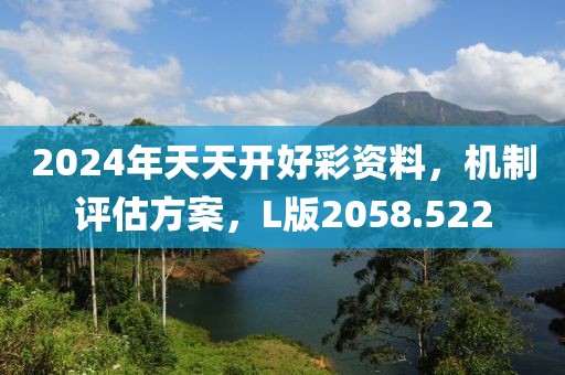 2024年天天开好彩资料，机制评估方案，L版2058.522