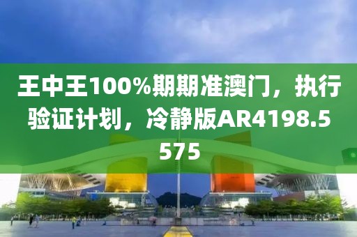 王中王100%期期准澳门，执行验证计划，冷静版AR4198.5575