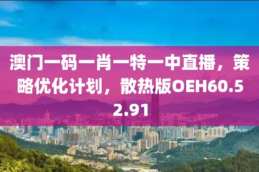 澳门一码一肖一特一中直播，策略优化计划，散热版OEH60.52.91