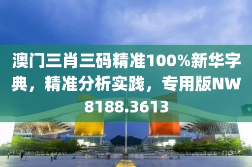 澳门三肖三码精准100%新华字典，精准分析实践，专用版NW8188.3613