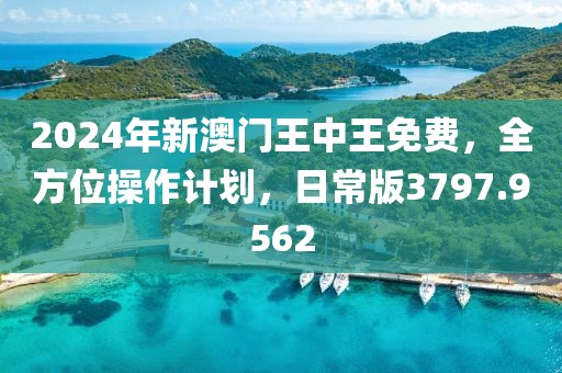 2024年新澳门王中王免费，全方位操作计划，日常版3797.9562