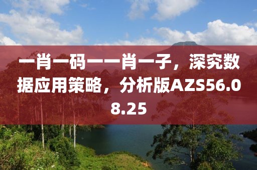 一肖一码一一肖一子，深究数据应用策略，分析版AZS56.08.25