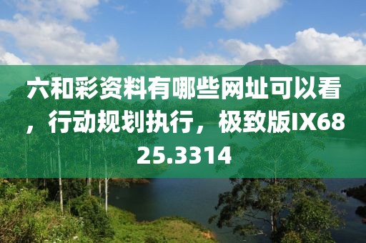 六和彩资料有哪些网址可以看，行动规划执行，极致版IX6825.3314