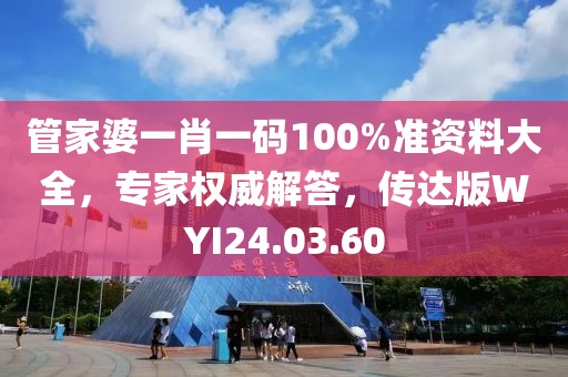 管家婆一肖一码100%准资料大全，专家权威解答，传达版WYI24.03.60