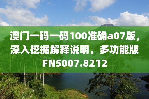 澳门一码一码100准确a07版，深入挖掘解释说明，多功能版FN5007.8212