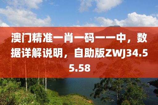 澳门精准一肖一码一一中，数据详解说明，自助版ZWJ34.55.58