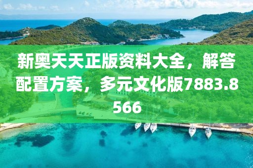 新奥天天正版资料大全，解答配置方案，多元文化版7883.8566