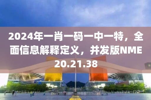2024年一肖一码一中一特，全面信息解释定义，并发版NME20.21.38