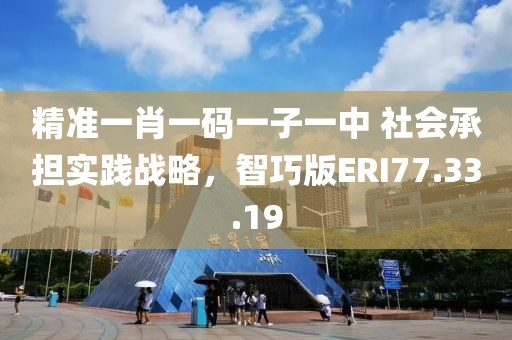 精准一肖一码一子一中 社会承担实践战略，智巧版ERI77.33.19