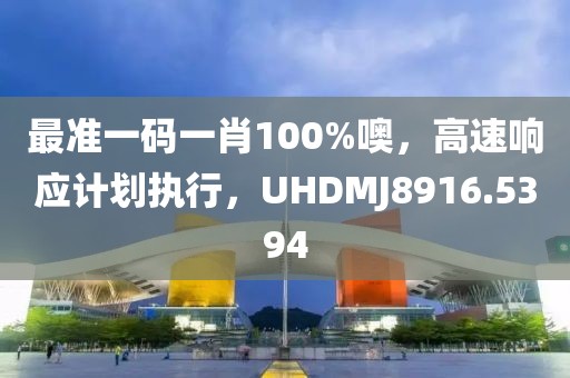 最准一码一肖100%噢，高速响应计划执行，UHDMJ8916.5394