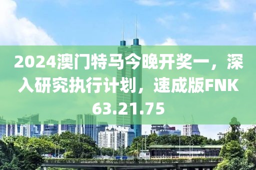 2024澳门特马今晚开奖一，深入研究执行计划，速成版FNK63.21.75