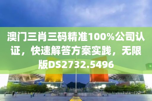 澳门三肖三码精准100%公司认证，快速解答方案实践，无限版DS2732.5496