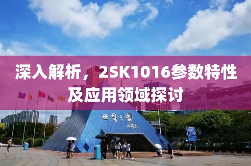深入解析，2SK1016参数特性及应用领域探讨