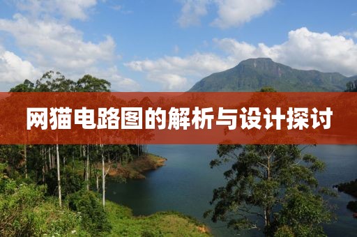 网猫电路图的解析与设计探讨