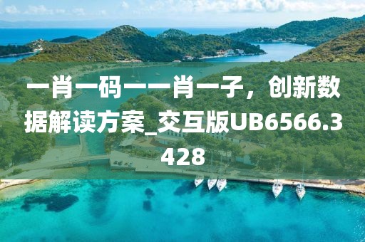 一肖一码一一肖一子，创新数据解读方案_交互版UB6566.3428