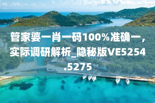 管家婆一肖一码100%准确一，实际调研解析_隐秘版VE5254.5275