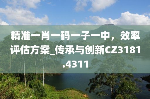 精准一肖一码一子一中，效率评估方案_传承与创新CZ3181.4311