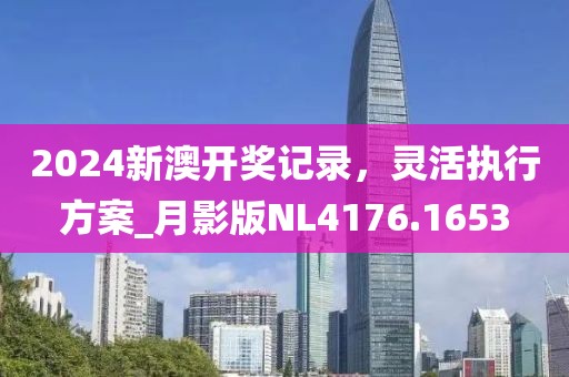 2024新澳开奖记录，灵活执行方案_月影版NL4176.1653