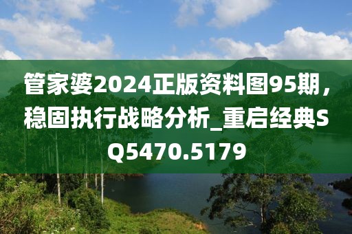 管家婆2024正版资料图95期，稳固执行战略分析_重启经典SQ5470.5179