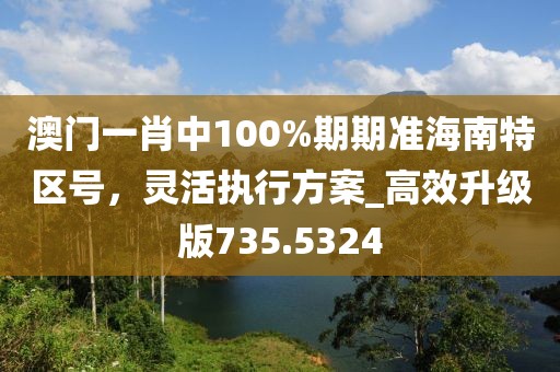 澳门一肖中100%期期准海南特区号，灵活执行方案_高效升级版735.5324