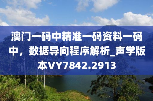 澳门一码中精准一码资料一码中，数据导向程序解析_声学版本VY7842.2913