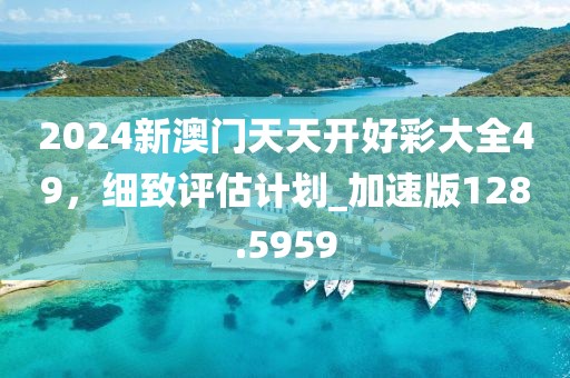 2024新澳门天天开好彩大全49，细致评估计划_加速版128.5959