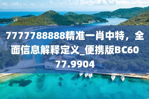襟上花 第65页