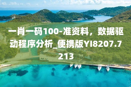 一肖一码100-准资料，数据驱动程序分析_便携版YI8207.7213