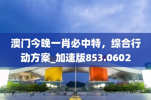 澳门今晚一肖必中特，综合行动方案_加速版853.0602