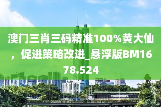 澳门三肖三码精准100%黄大仙，促进策略改进_悬浮版BM1678.524